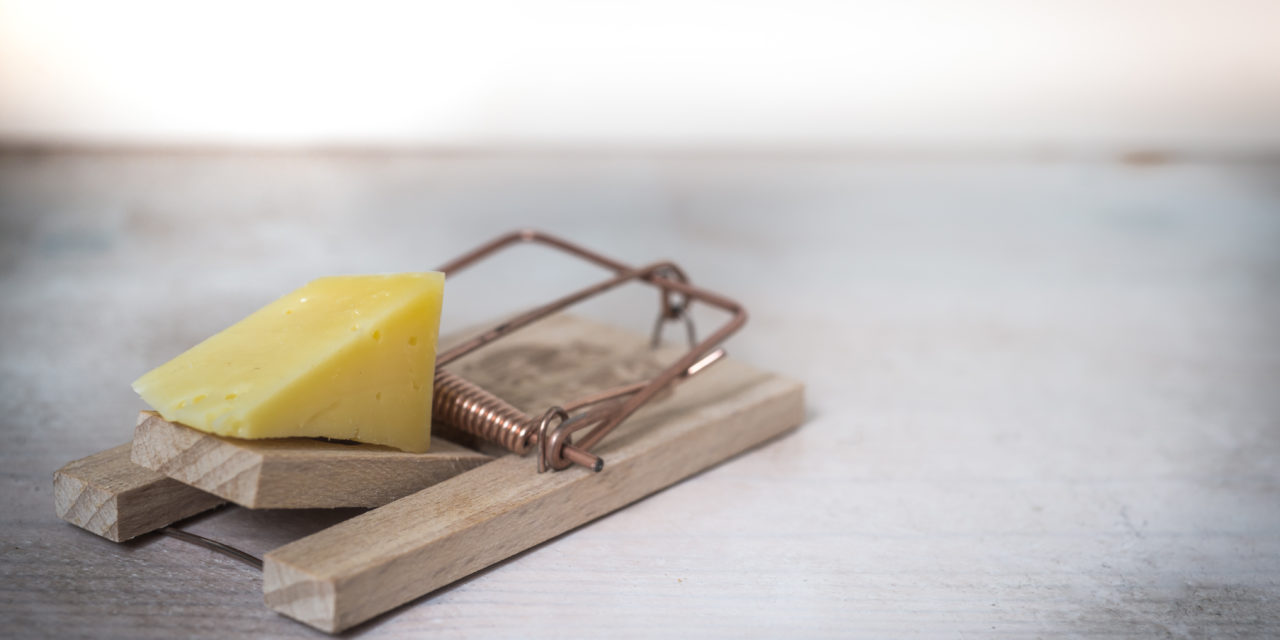 https://dlaignite.com/wp-content/uploads/2017/12/mouse-trap-cheese-device-trap-633881-1280x640.jpeg