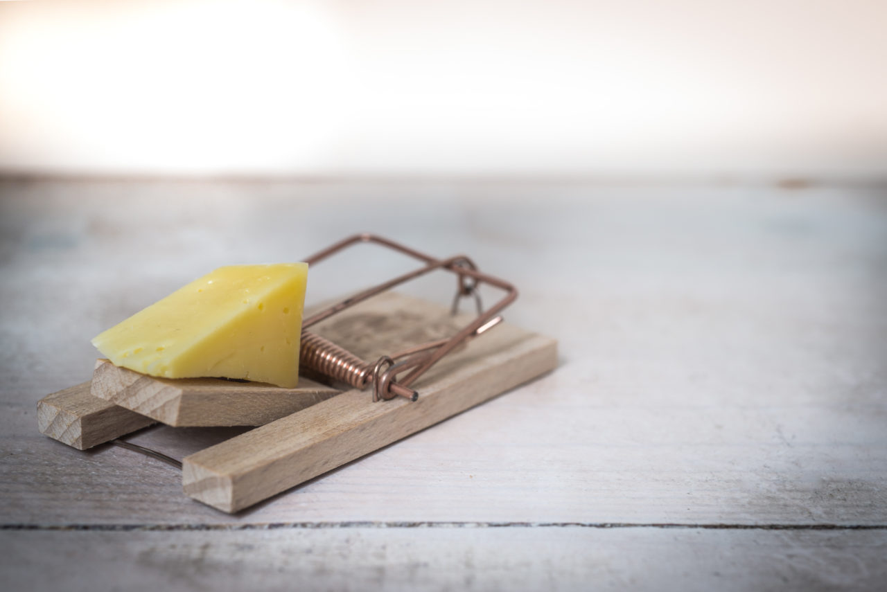 https://dlaignite.com/wp-content/uploads/2017/12/mouse-trap-cheese-device-trap-633881-1280x855.jpeg