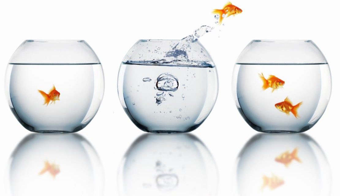 https://dlaignite.com/wp-content/uploads/2018/03/organisational-change-1110x640.jpg