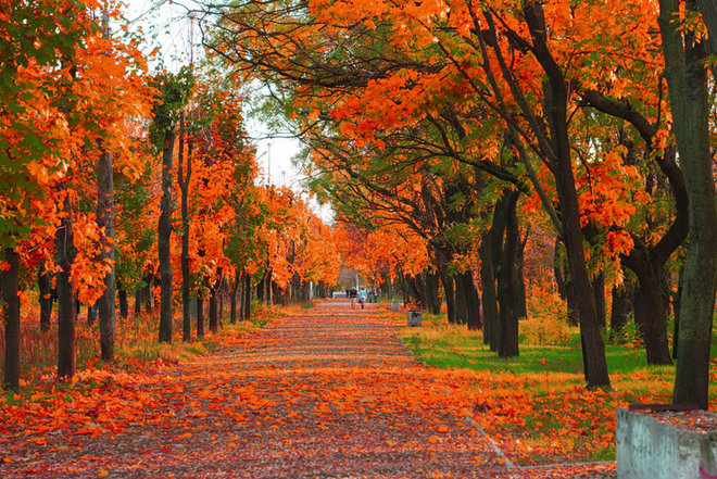 https://dlaignite.com/wp-content/uploads/2018/09/Autumn.jpg