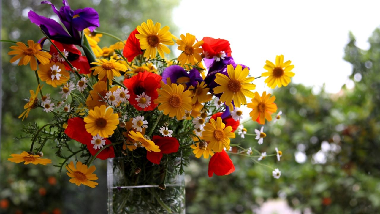 https://dlaignite.com/wp-content/uploads/2018/09/flowers-1280x720.jpg