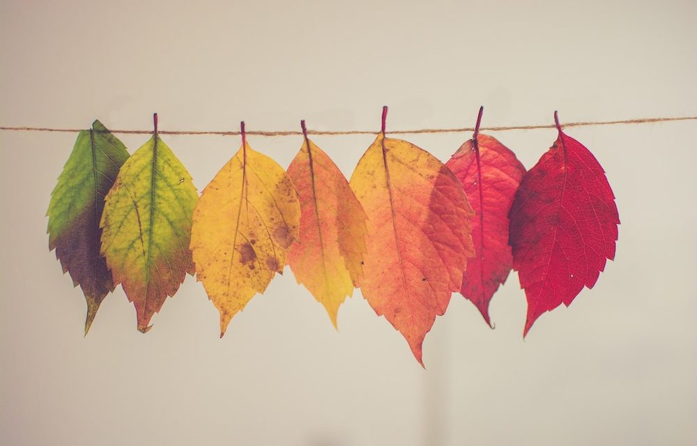 https://dlaignite.com/wp-content/uploads/2019/01/chris-lawton-154388-unsplash-1000x640.jpg