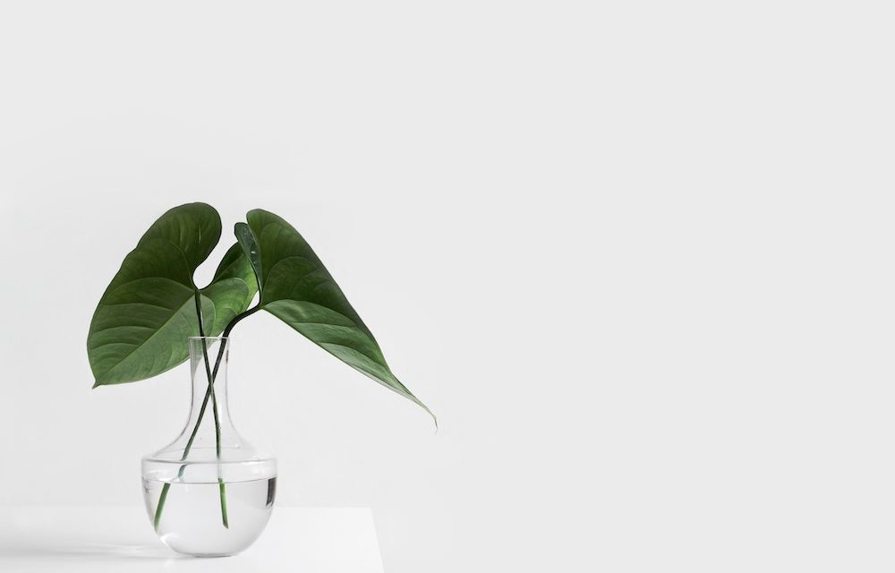 https://dlaignite.com/wp-content/uploads/2019/03/sarah-dorweiler-211779-unsplash-1000x640.jpg