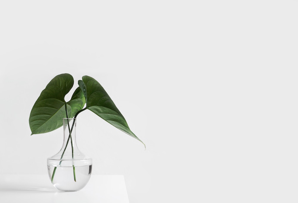 https://dlaignite.com/wp-content/uploads/2019/03/sarah-dorweiler-211779-unsplash.jpg