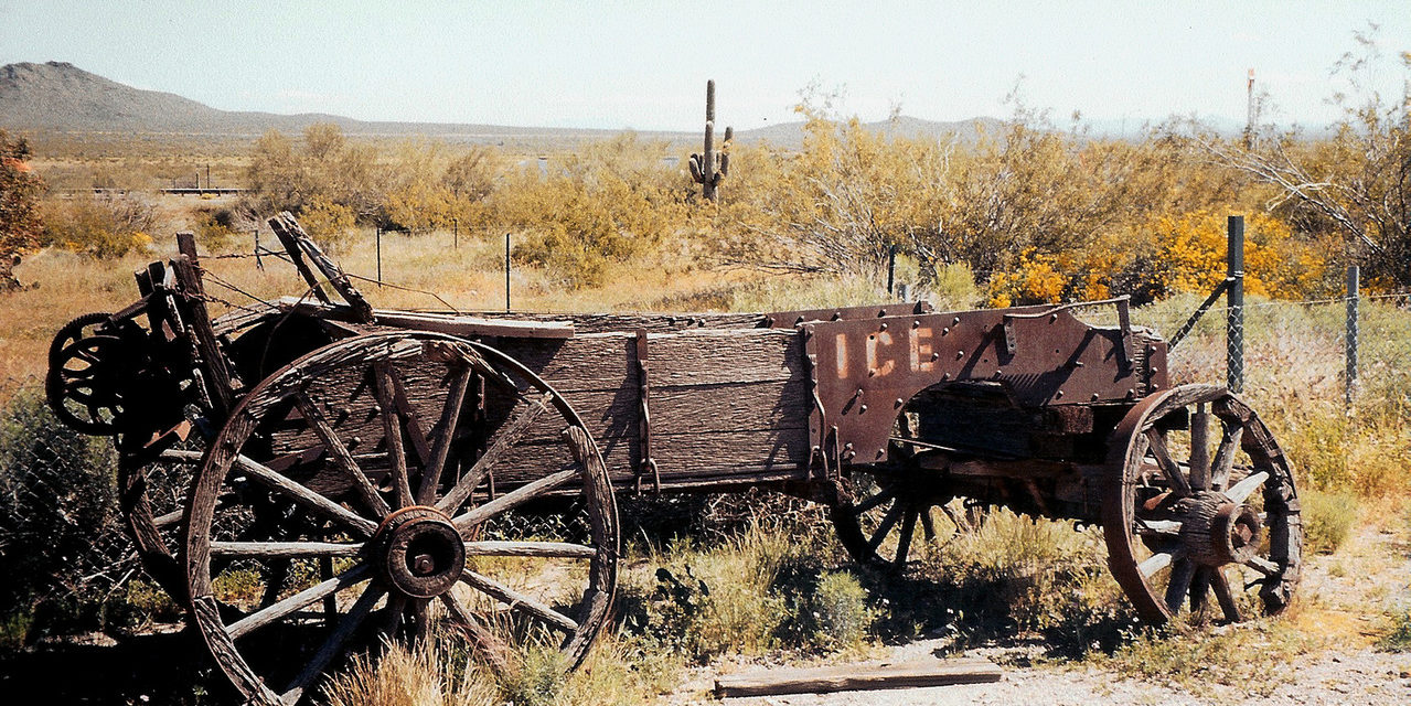 https://dlaignite.com/wp-content/uploads/2019/10/desert-casualties-1-1409902-1279x878-1-1279x640.jpg